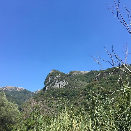 Casa La Wanda - Camaiore Toscana - 2 Bedroom & Terrace Εξωτερικό φωτογραφία